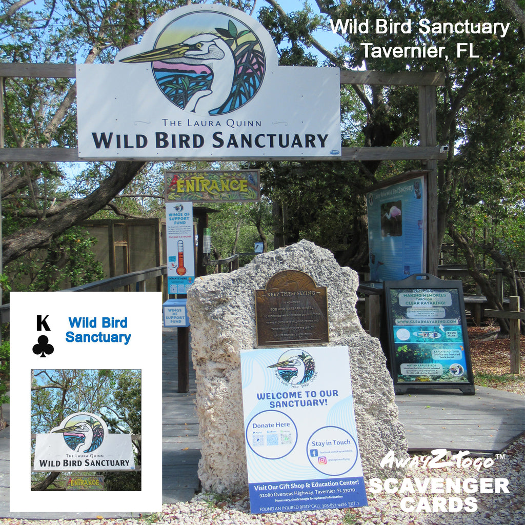 Scavenger Cards Florida Keys, Series 2 - FK02