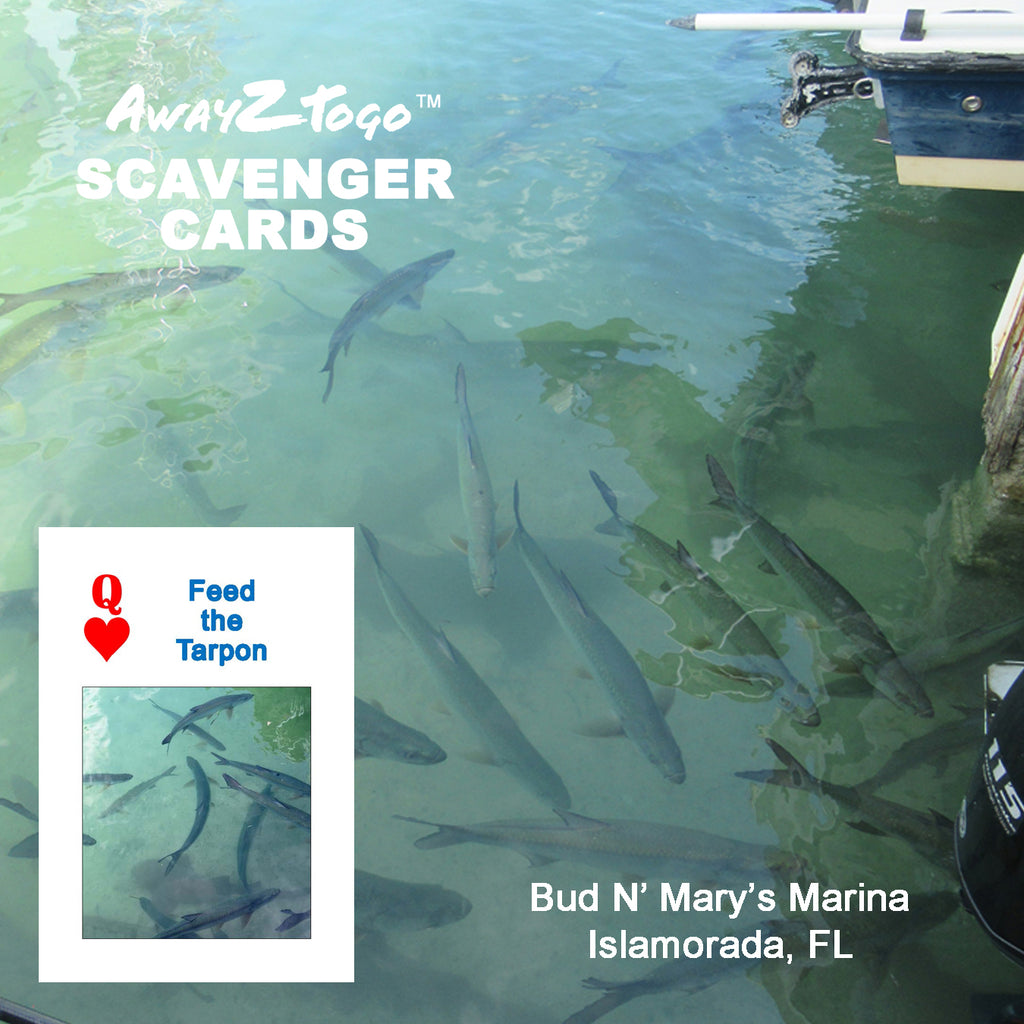 Scavenger Cards Florida Keys, Series 1 - FK01