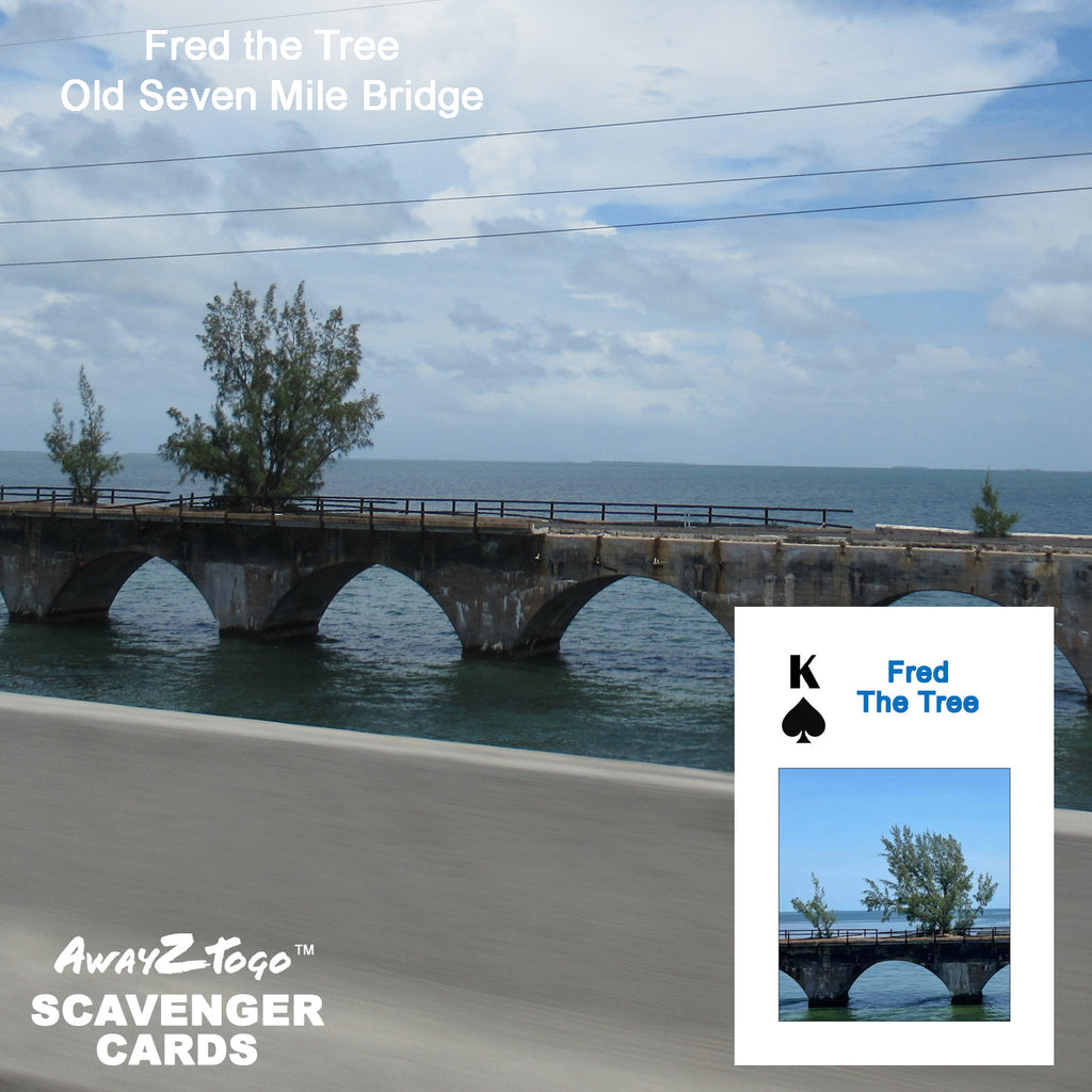 Scavenger Cards Florida Keys, Series 1 - FK01